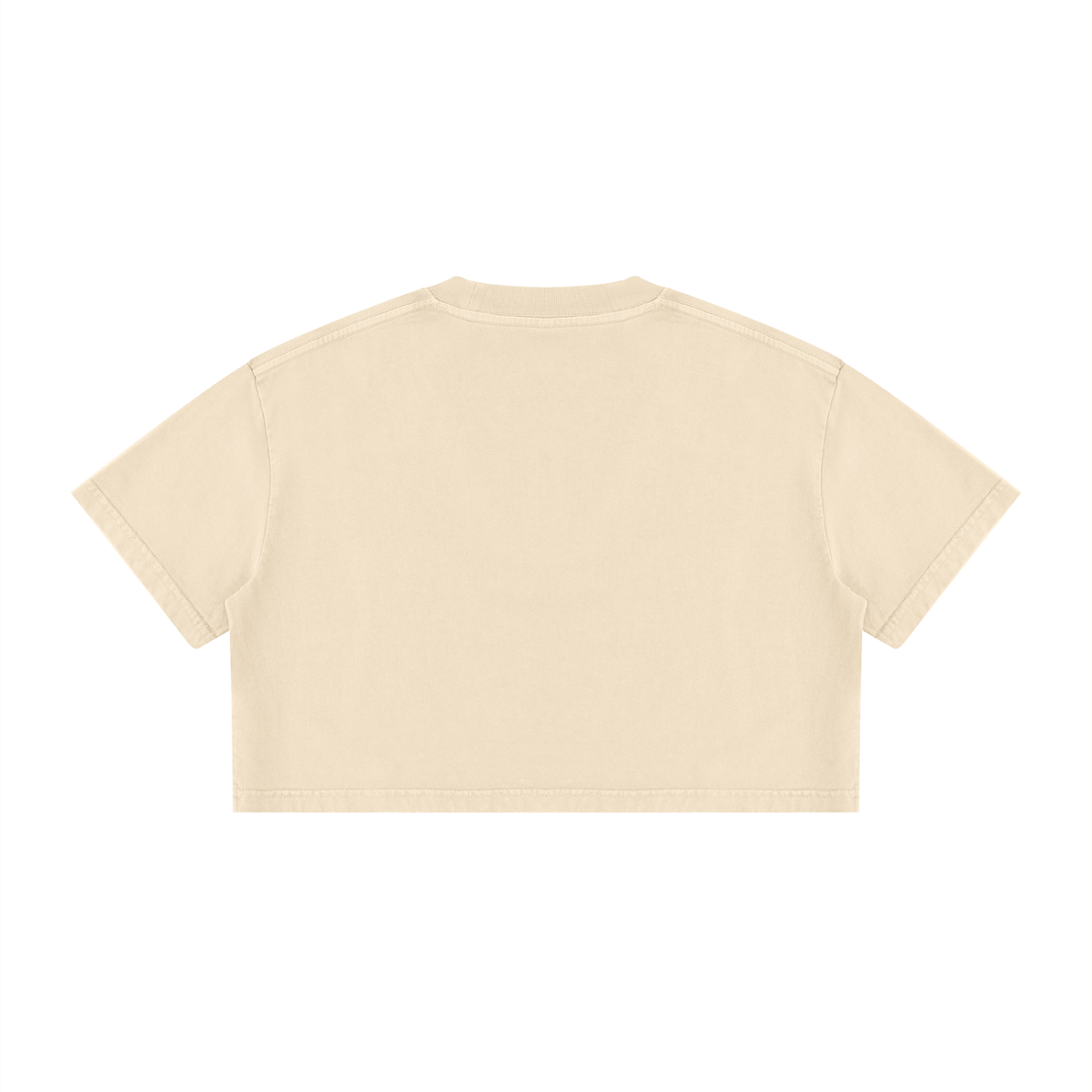 Get Wyld - Women's Mineral Wash Cotton Crop T-Shirt